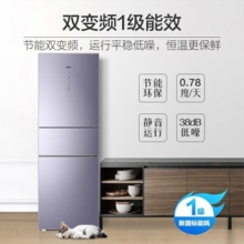 海尔（Haier）BCD-312WFCM