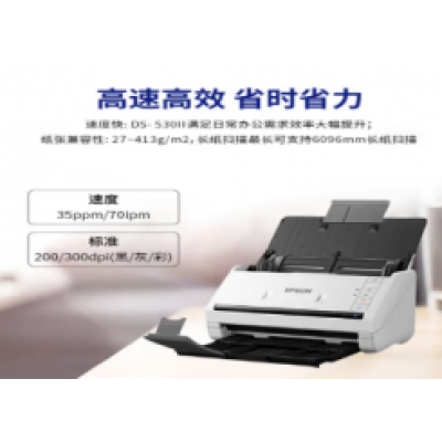 爱普生扫描仪DS-530II